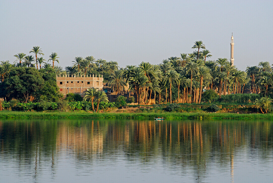 Nilkreuzfahrt, Häuser und Palmen am Ufer, Nil Abschnitt Luxor-Dendera, Ägypten, Afrika