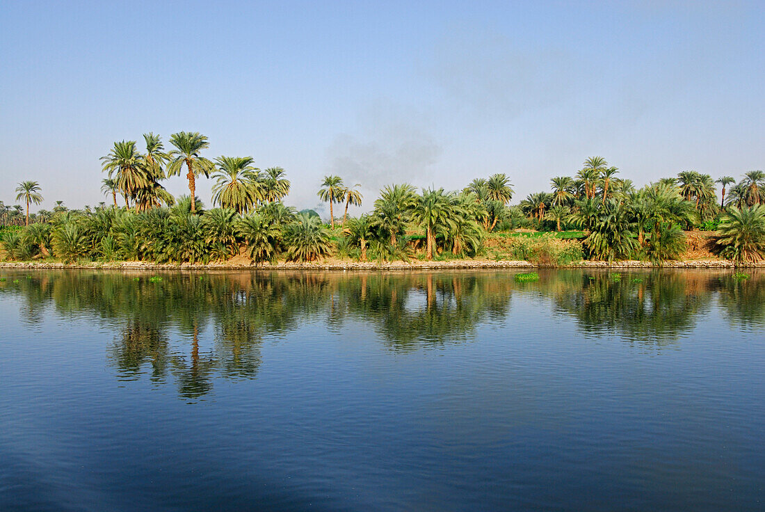Nilkreuzfahrt, Palmen am Ufer, Nil Abschnitt Luxor-Dendera, Ägypten, Afrika
