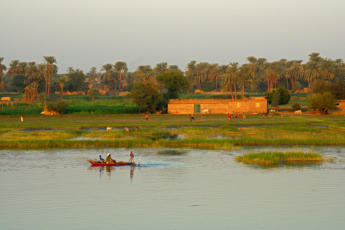 cruise on the Nile, fishermen on boats and children playing on bank with palm trees, Nile between Luxor and Dendera, Egypt, Africa