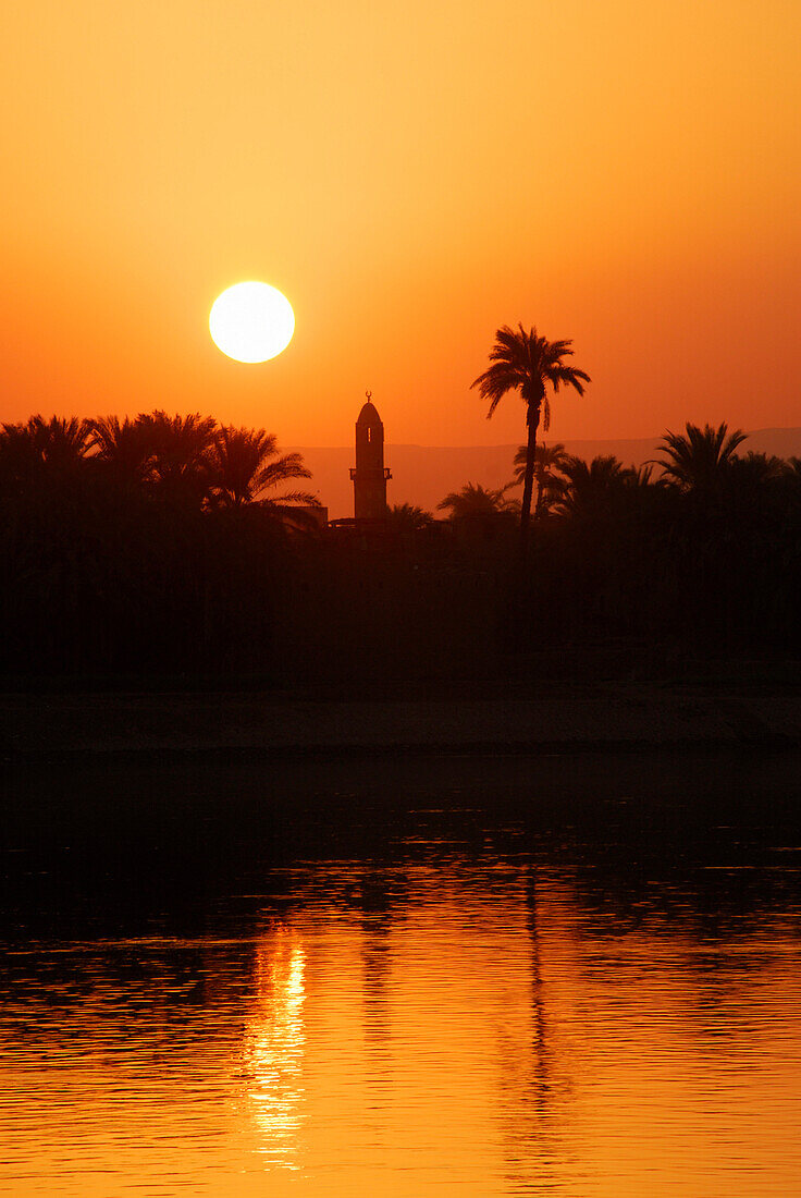 cruise on the Nile, sunset behind minaret and palm trees at western bank, Nile between Luxor and Dendera, Egypt, Africa