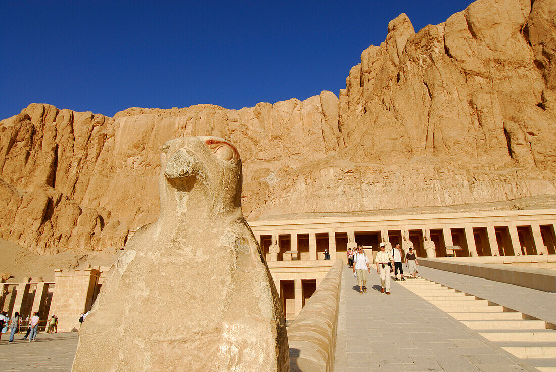 statue of falcon besides stairway to temple of Hatshepsut (Hatshepset), Thebes, western bank, valley of the queens, Egypt, Africa