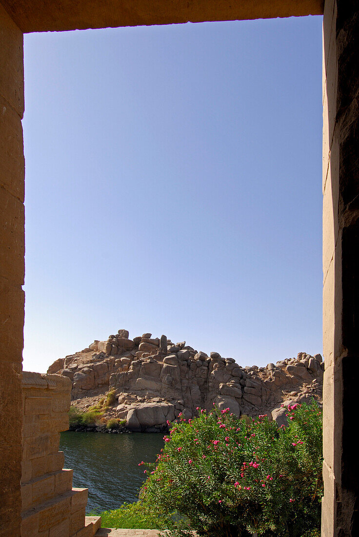 view from entry to a flowering bush and lake Aswan (reservoir), Isis temple on island Philae, lake Aswan, Egypt, Africa