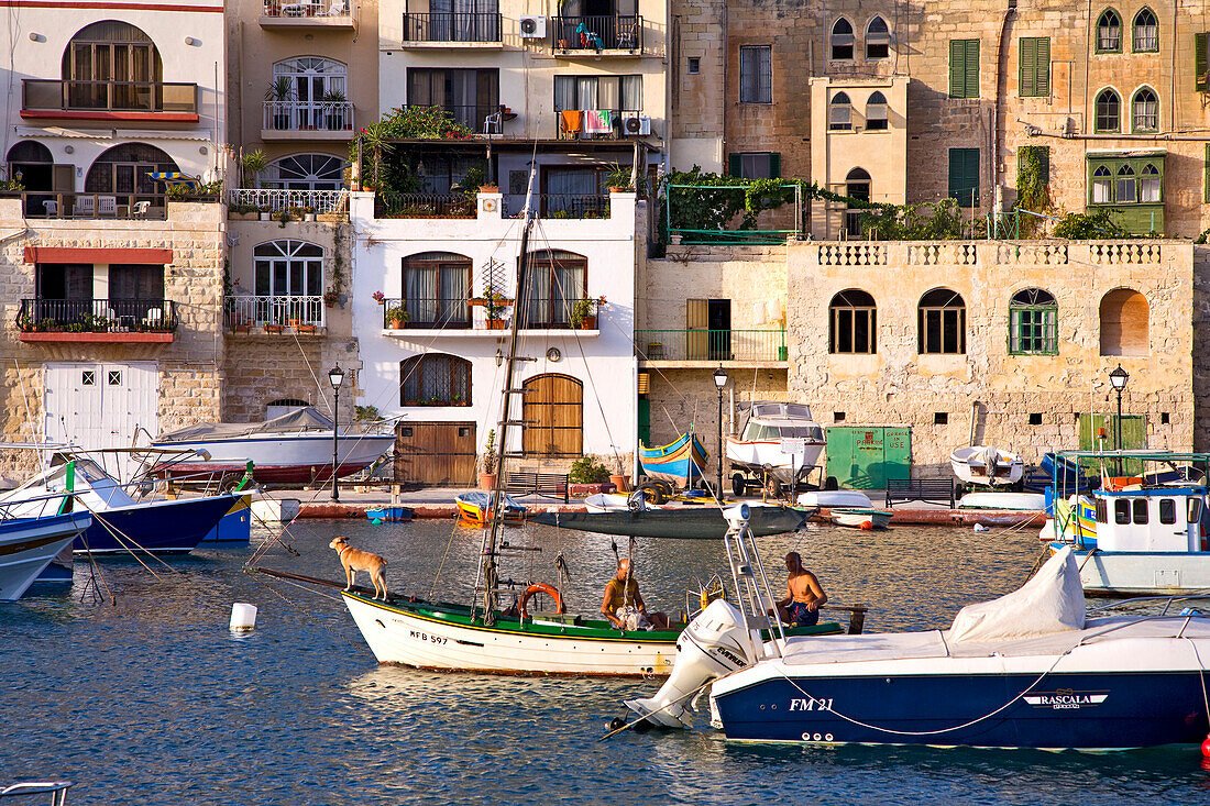 Boats in a bay in front of houses' facades, Spinola Bay, St. Julian´s, Malta, Europe