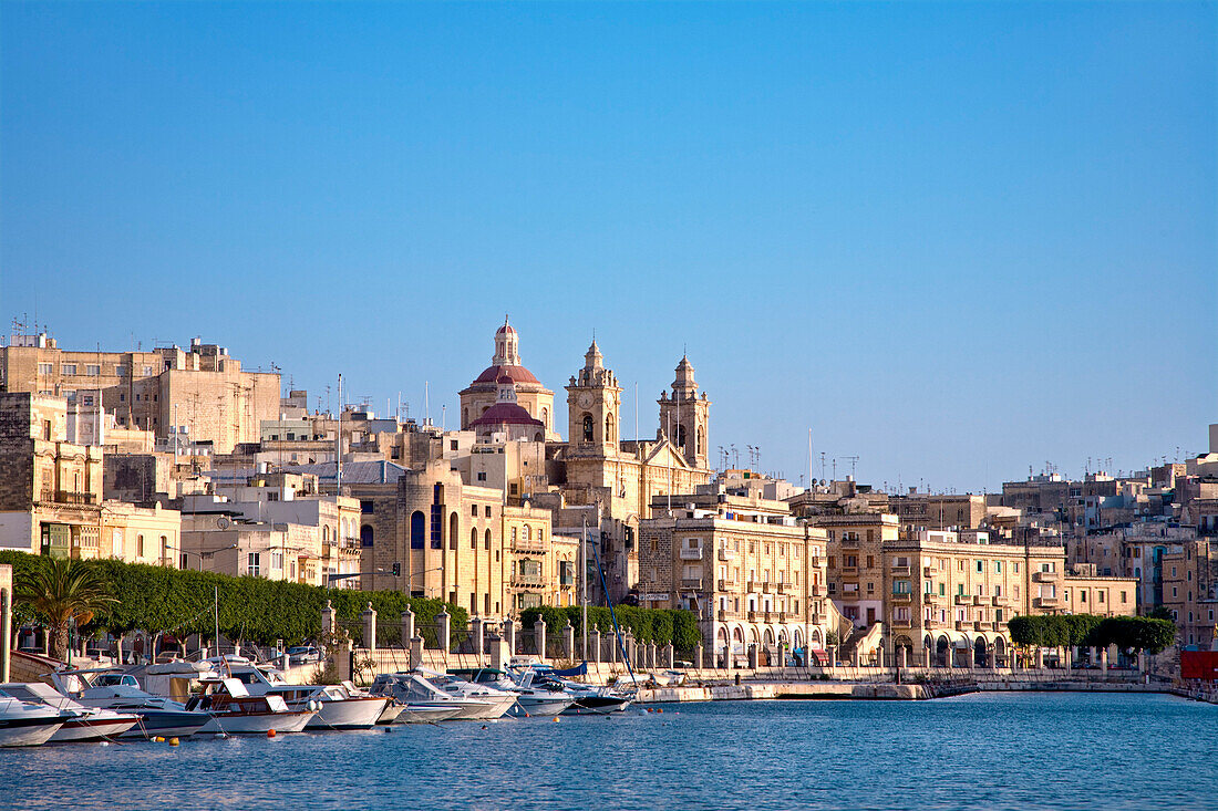 Blick auf Hafen und Stadt im Sonnenlicht, Drei Städte, Vittoriosa, Valletta, Malta, Europa