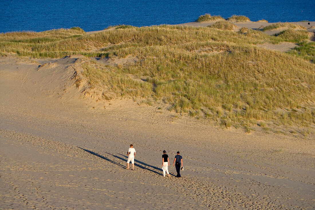 Hohe Düne in Nida (Nidden), Kurische Nehrung, Litauen