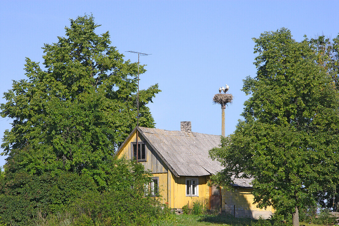 Bauernhaus mit Storchennest in der Region Druskininkai, Litauen