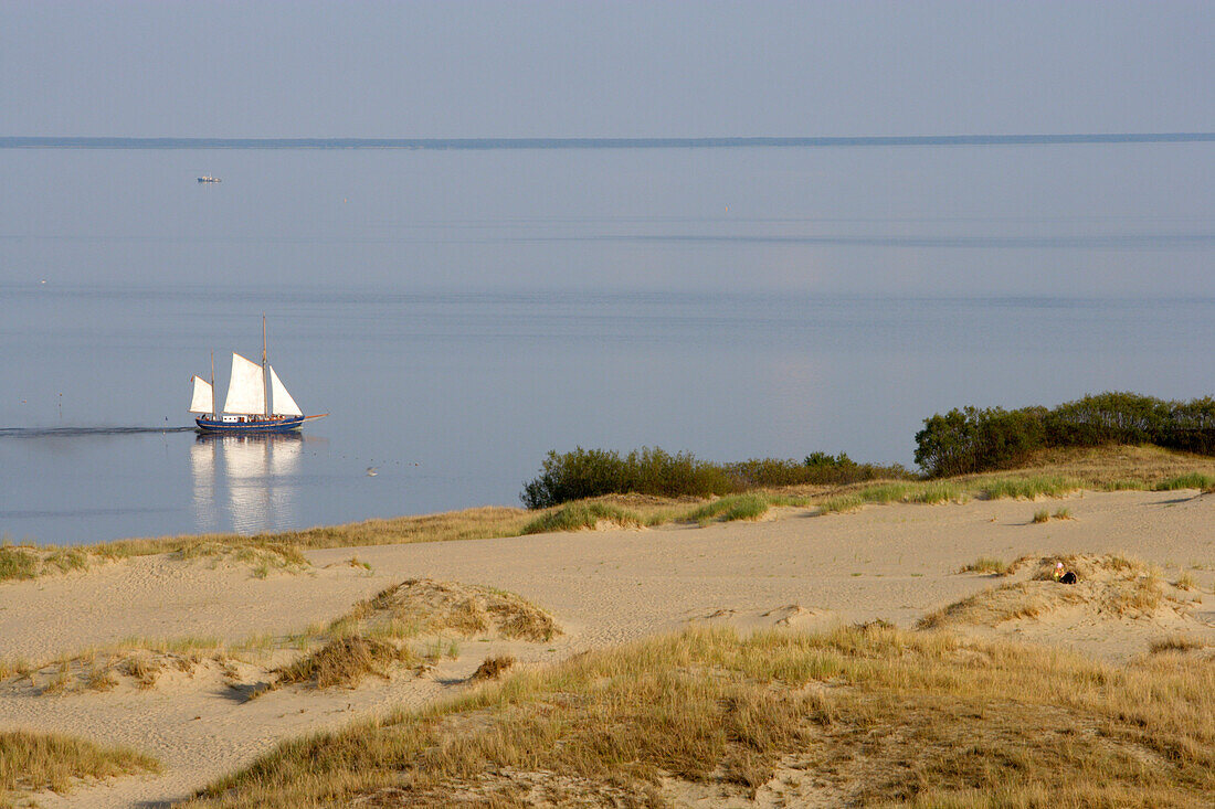 Hohe Düne in Nida (Nidden), Kurische Nehrung, Litauen