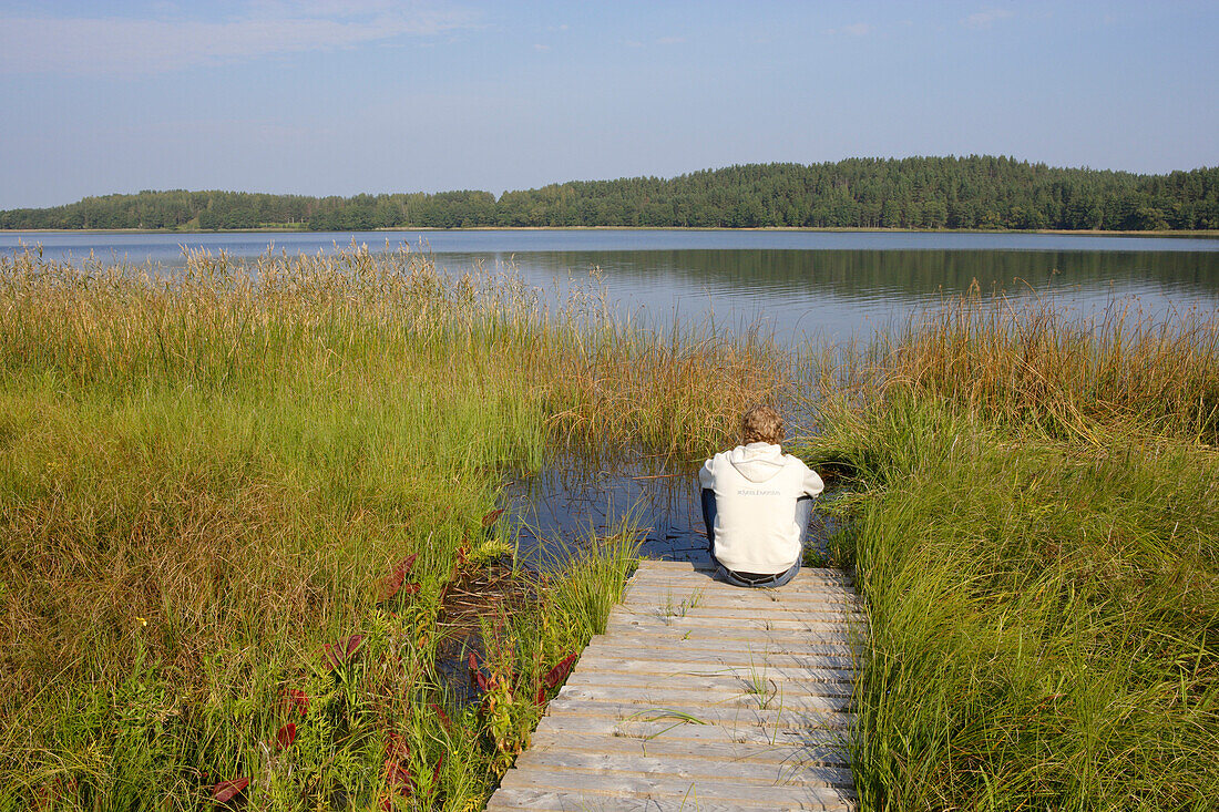 Am Lusis See in Paluse, Aukstaitija Nationalpark, Litauen