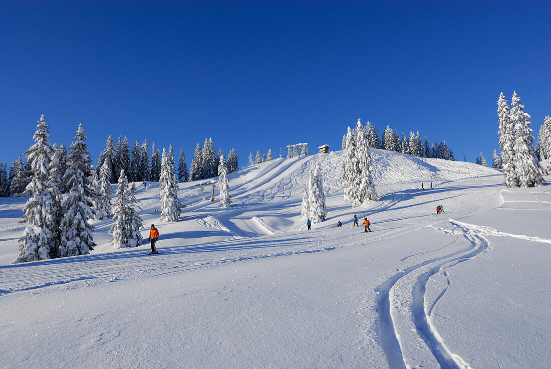 Skifahrer auf der Piste, Riedberger Horn, Allgäuer Alpen, Bayern, Deutschland