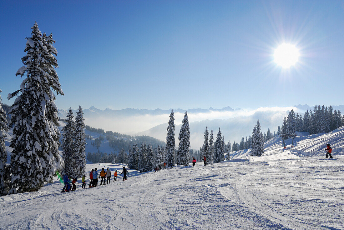 Skifahrer auf der Piste, Riedberger Horn, Allgäuer Alpen, Bayern, Deutschland