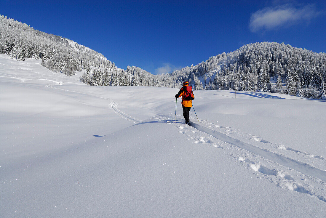 Back-country skier, Balderschwang Valley, Allgaeu Alps, Bavaria, Germany