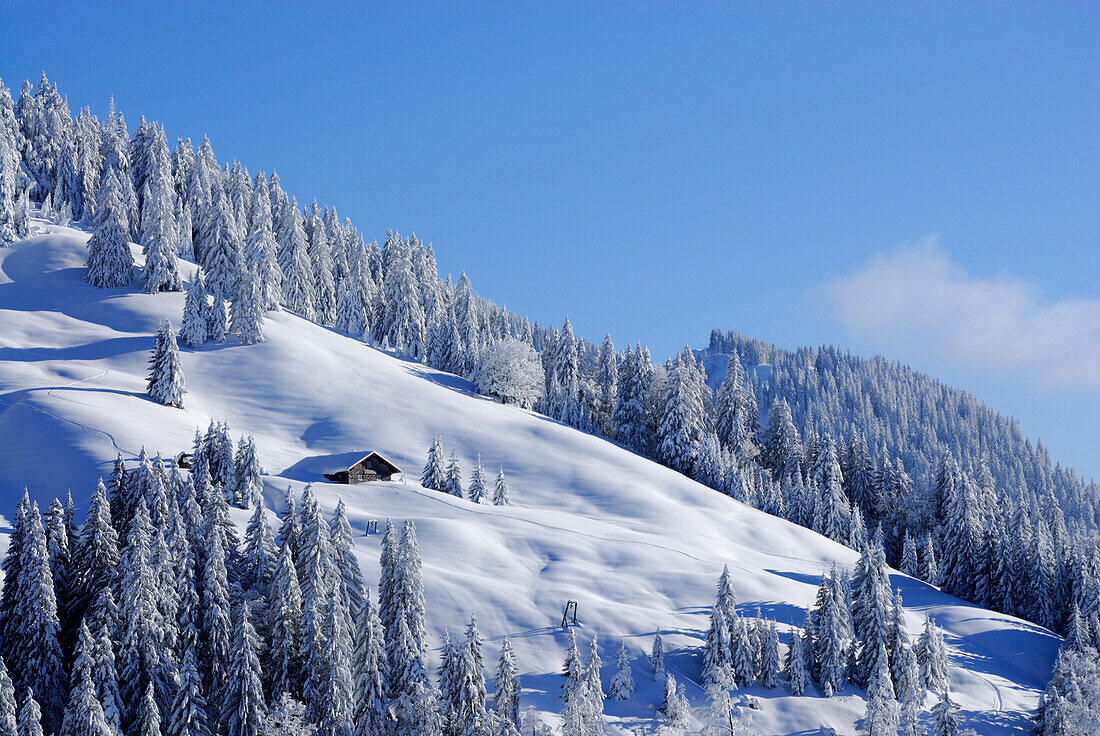 Snow covered alp lodge, Balderschwang Valley, Allgaeu Alps, Bavaria, Germany
