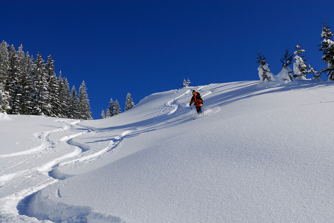 Skifahrer bei der Abfahrt, Feuerstätter Kopf, Allgäuer Alpen, Vorarlberg, Österreich