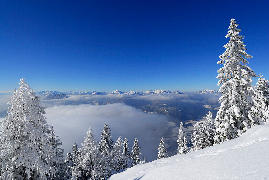 verschneite Winterlandschaft, Blick auf Bayerische Voralpen mit Wendelstein, Nebelmeer im Inntal, Naunspitze, Zahmer Kaiser, Kaisergebirge, Tirol, Österreich