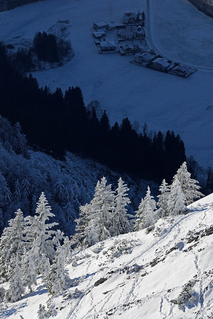 Snow-covered winter forest with view down to village in the deep blue shadow, Peterskoepfl, Zahmer Kaiser, Kaiser range, Kufstein, Tyrol, Austria