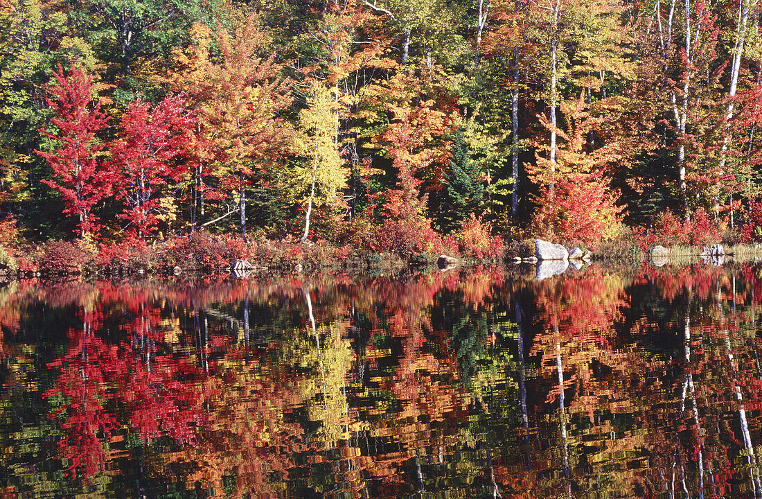Basin pond in autumn. North Chatam. New Hampshire. USA