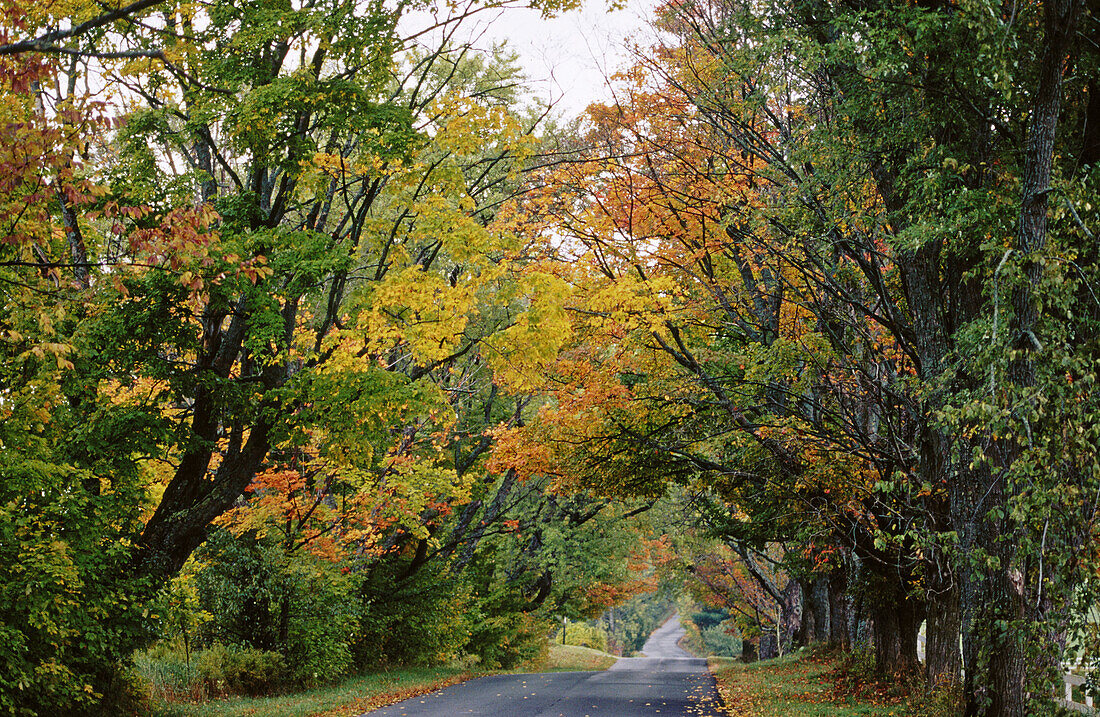 Darling Hill road. Burke hollow. Vermont. USA