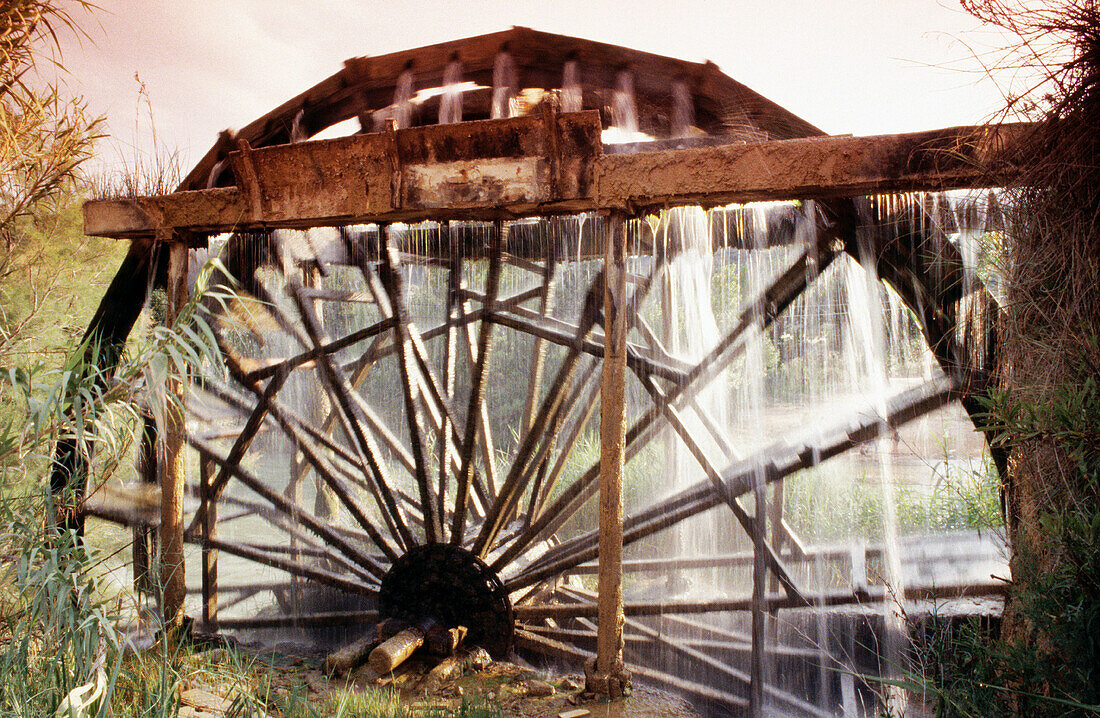 Waterwheel. Cabriel River. Casas del Río. Spain.