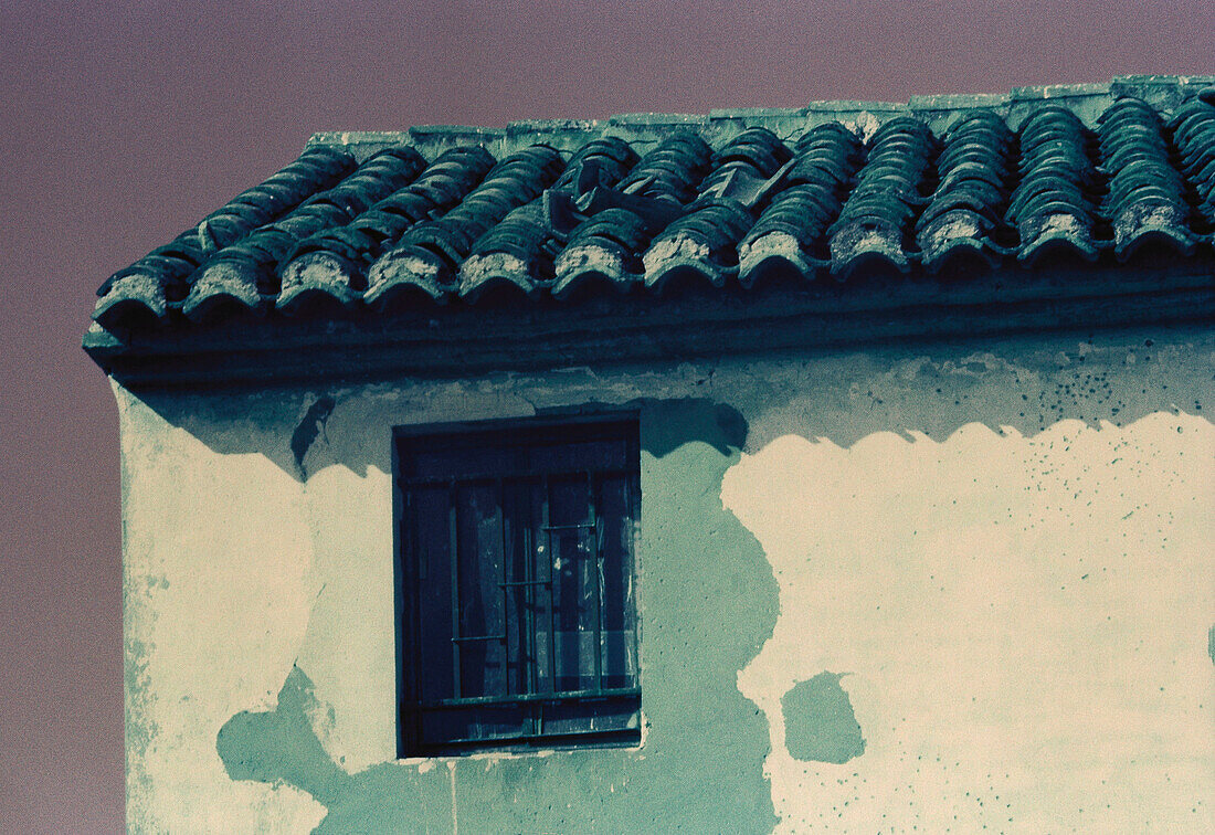 Detail of typical house. Albufera. Valencia. Spain