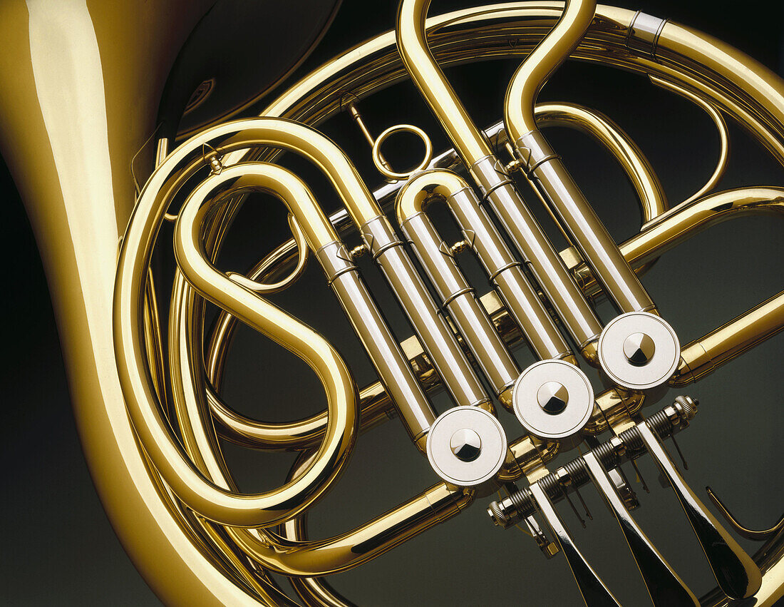  Art, Arts, Brass, Close up, Close-up, Color, Colour, Detail, Details, Excellence, Golden, Horizontal, Indoor, Indoors, Inside, Interior, Metal, Music, Musical instrument, Musical instruments, Object, Objects, Thing, Things, Trunk, Trunks, Wind instrument