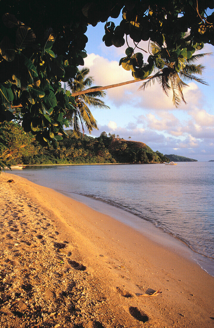 Deserted beach. Beqa Island. Fiji Islands