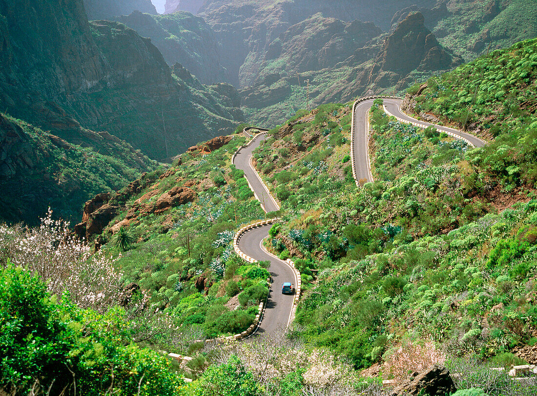 Road above Masca in Tenerife. Canary Islands. Spain