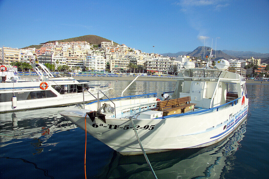 Los Cristianos fishing harbour. Tenerife, Canary Islands. Spain