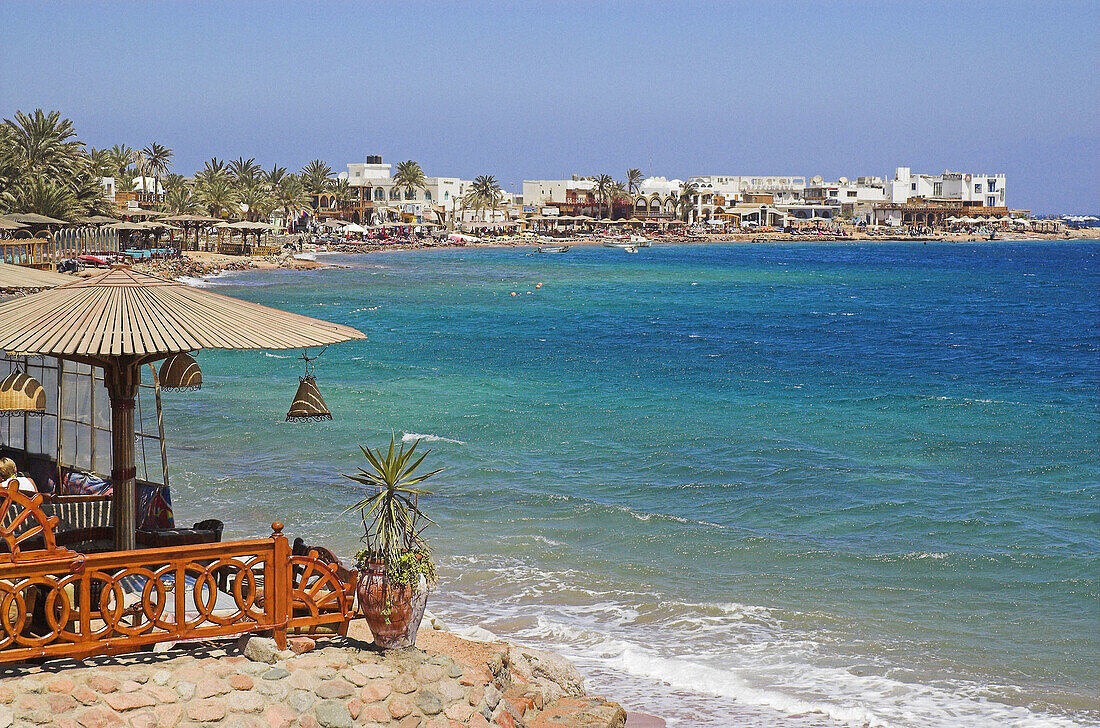 Dahab, Gulf of Aqaba. Red Sea, Egypt