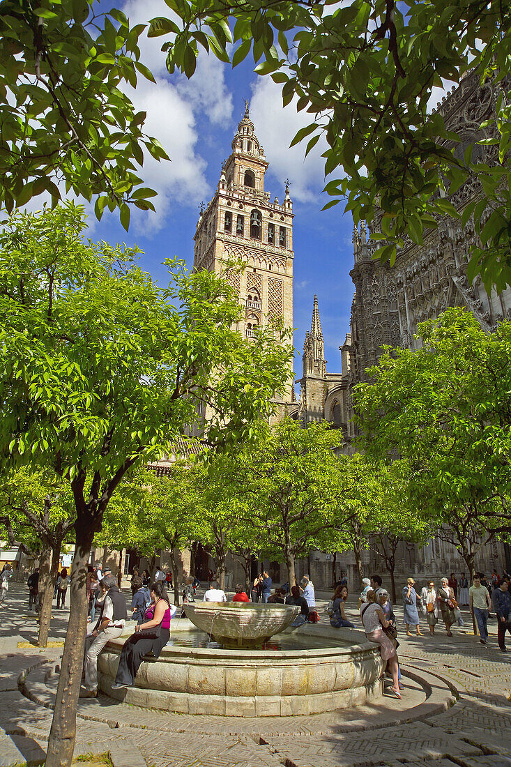 Spain Seville Province Seville (Sevilla) Patio de los Naranjos Cathedral Giralda Tower