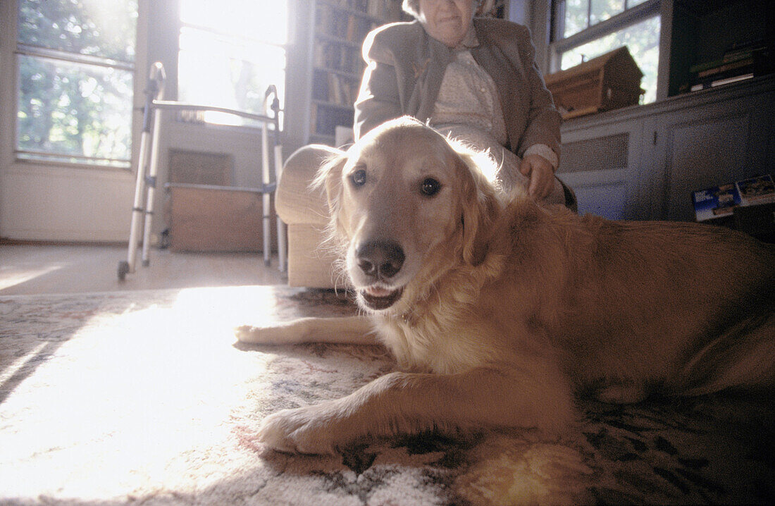 Old woman with Golden Retriever