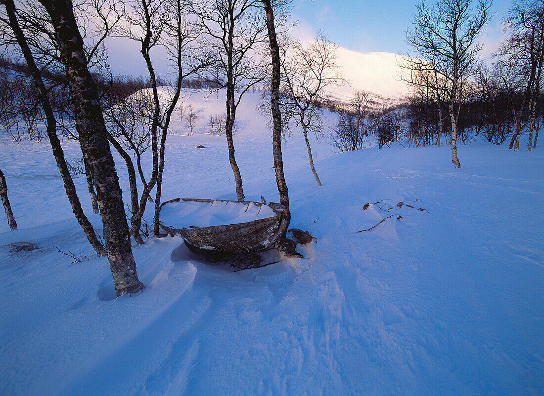  Abandoned, Abandonment, Aged, Birch, Birches, Boat, Boats, Cold, Coldness, Color, Colour, Covered, Daytime, Deserted, Europe, Exterior, Horizontal, Lapland, Mood, Nature, Old, Outdoor, Outdoors, Outside, Remote, Season, Seasons, Snow, Sweden, Tree, Trees