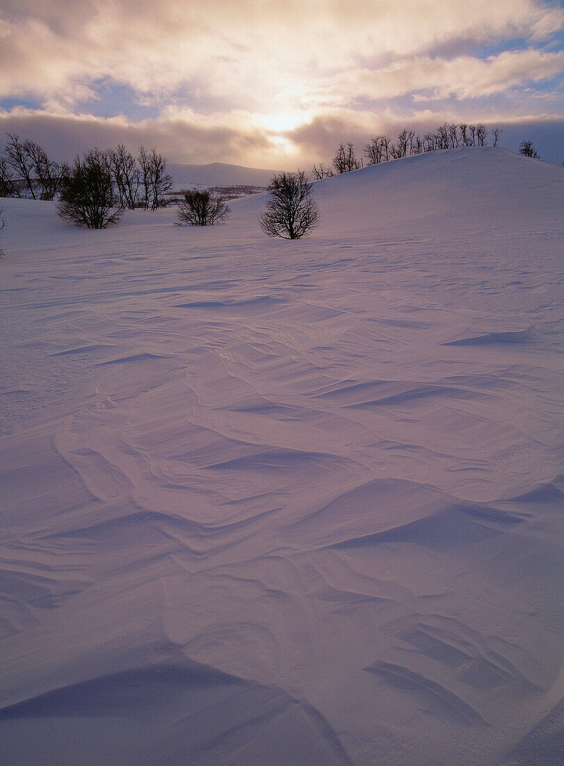 Winter landscape. Lappland. Sweden