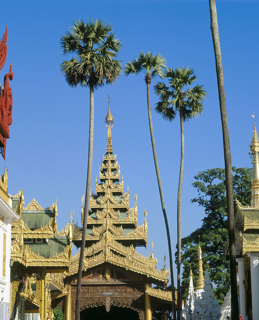 Shwedagon Pagoda. Yangoon. Myanmar