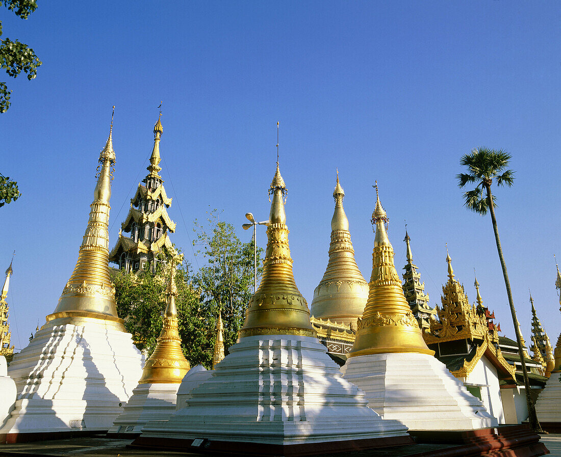 Shwedagon Pagoda. Yangoon. Myanmar