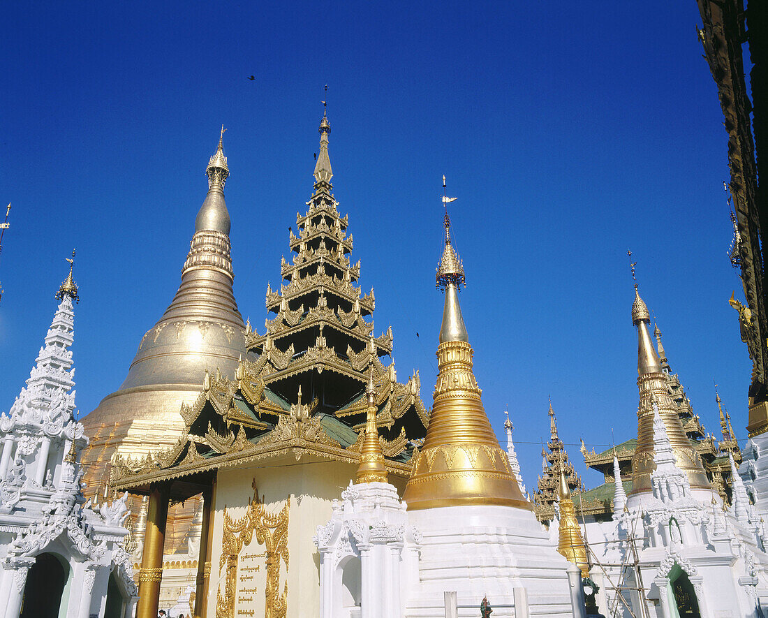 Shwedagon Pagoda. Yangoon. Myanmar