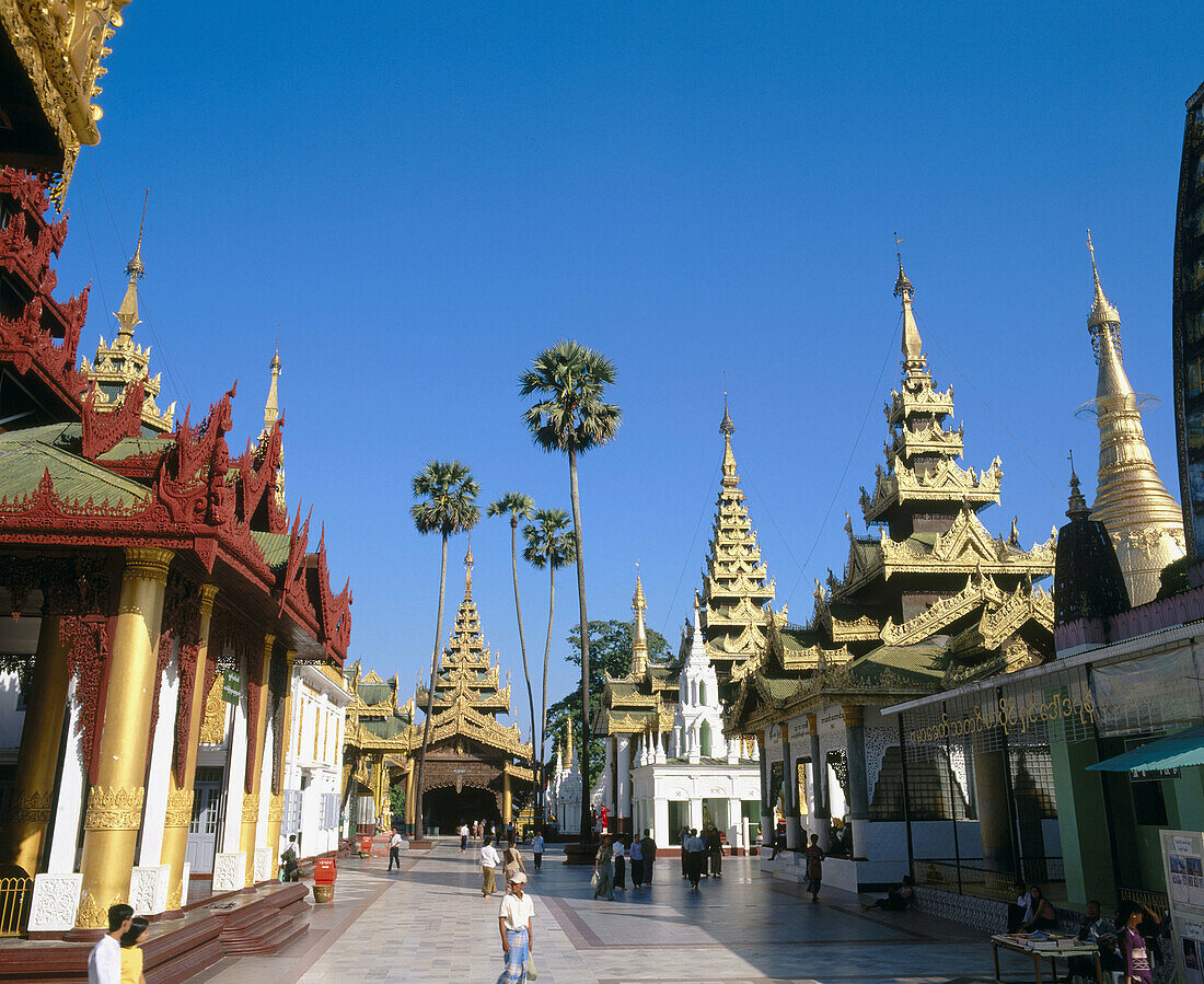 Shwedagon Pagoda. Yangoon. Myanmar