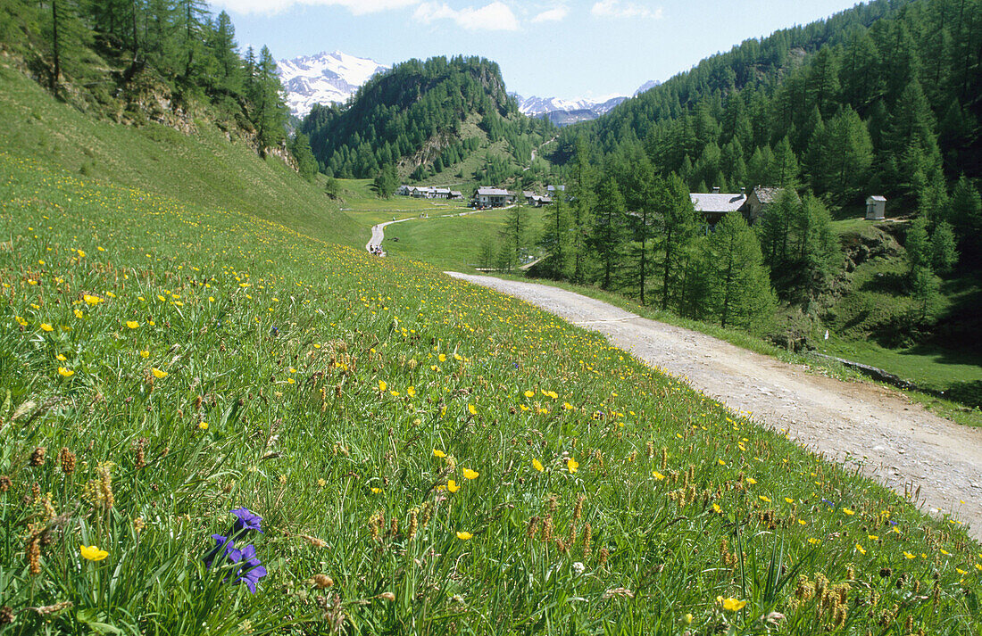 Alpe Devero. Alps. Piedmont. Italy