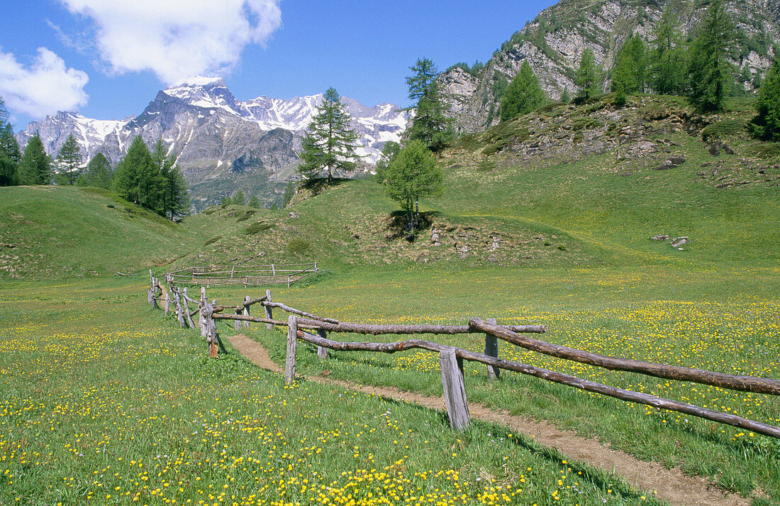 Alpe Devero. Alps. Piedmont. Italy