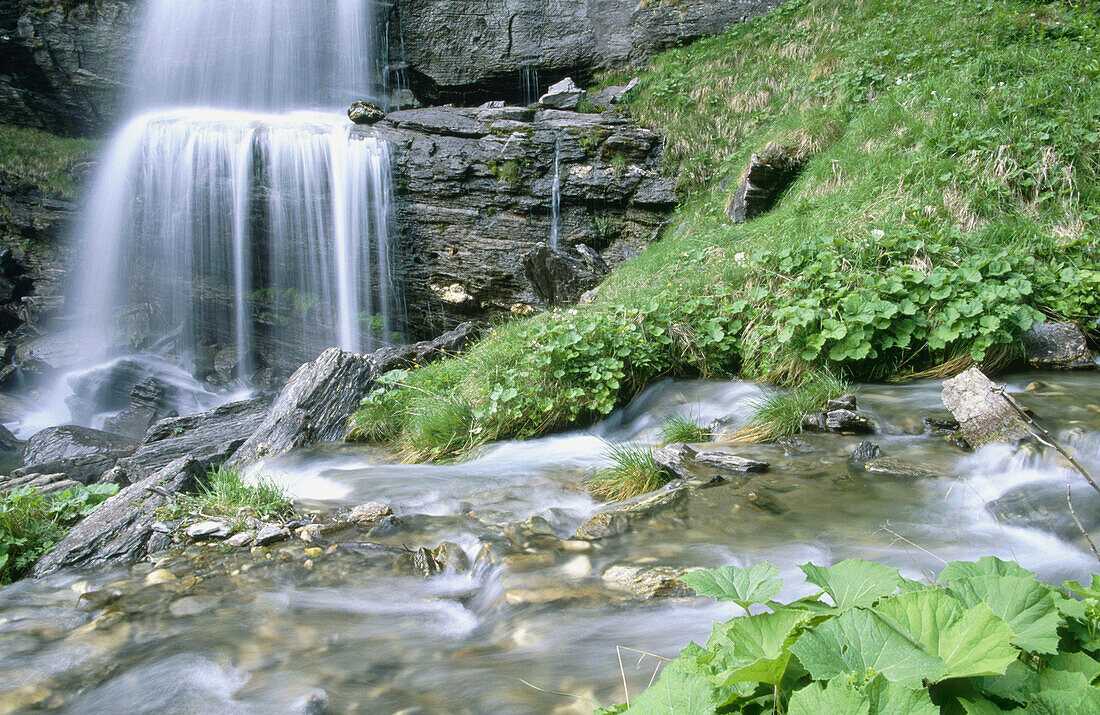 Waterfall in Alpe Devero. Alps. Piedmont. Italy