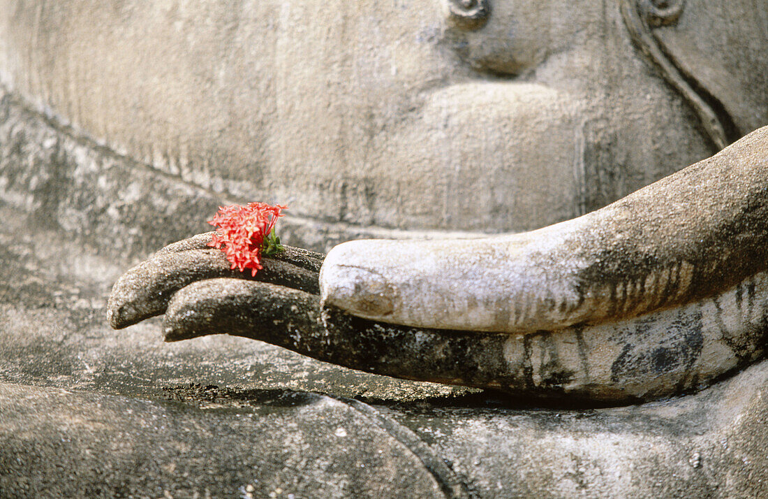 Detail of a Buddha s statue in the temple Wat Mahathat. Sukhotai. Thailand