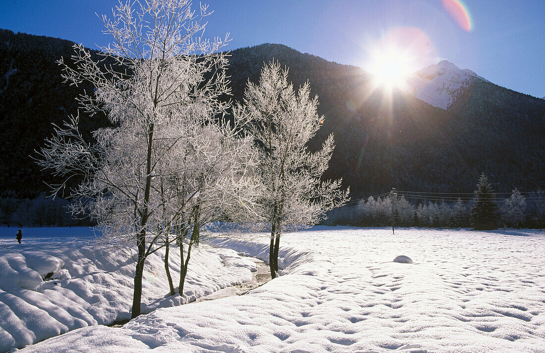Winter in Val Vigezzo, Alps. Piedmont, Italy