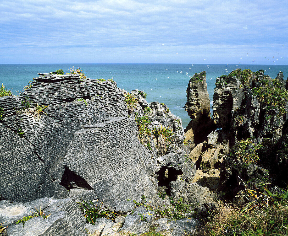 South Island, New Zealand