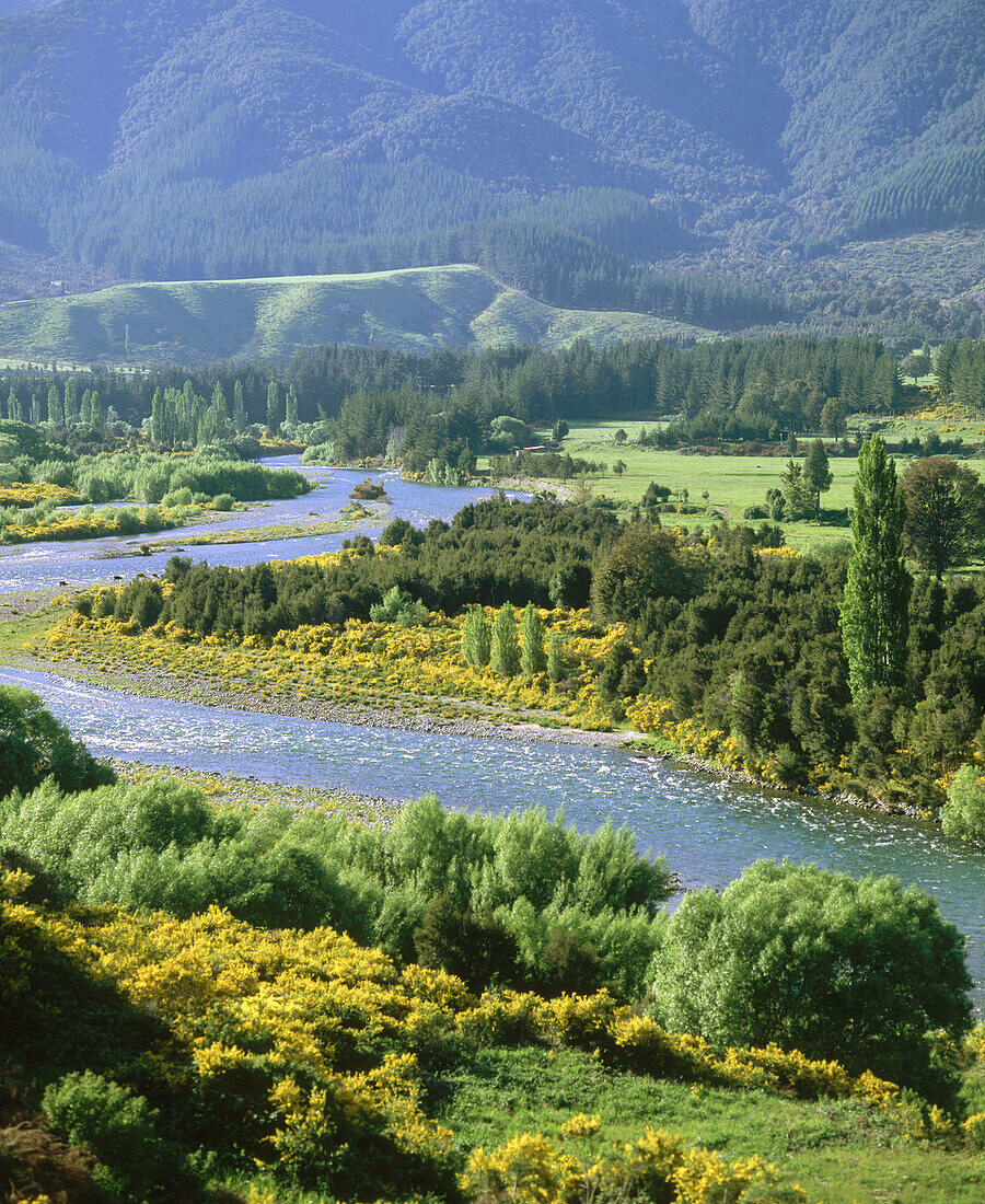 South Island, New Zealand