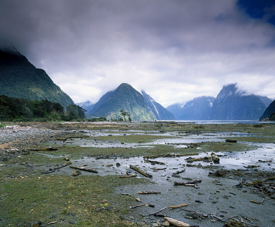 Milford Sound. South Island, New Zealand