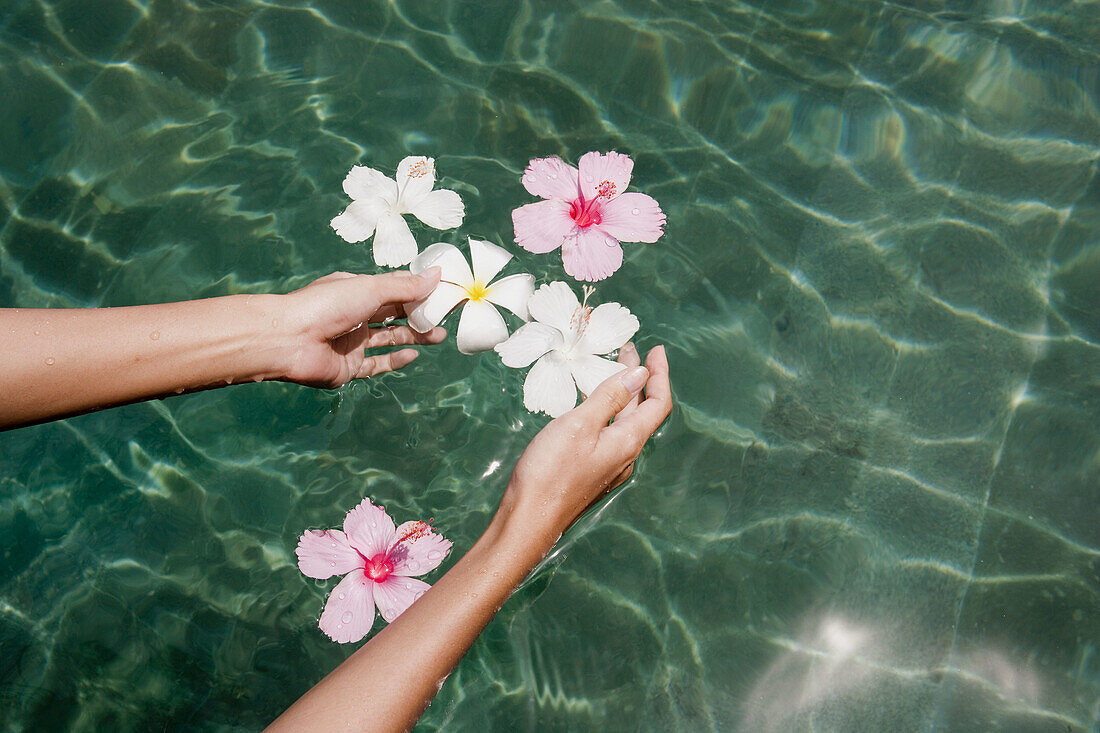  Anonymous, Asia, Color, Colour, Contemporary, Daytime, Delicate, Detail, Details, Exterior, Female, Feminine, Finger, Fingers, Float, Floating, Flower, Flowers, Fragile, Fragility, Fresh, Freshness, Hand, Hands, Hibiscus, Human, Island, Islands, Koh Samu