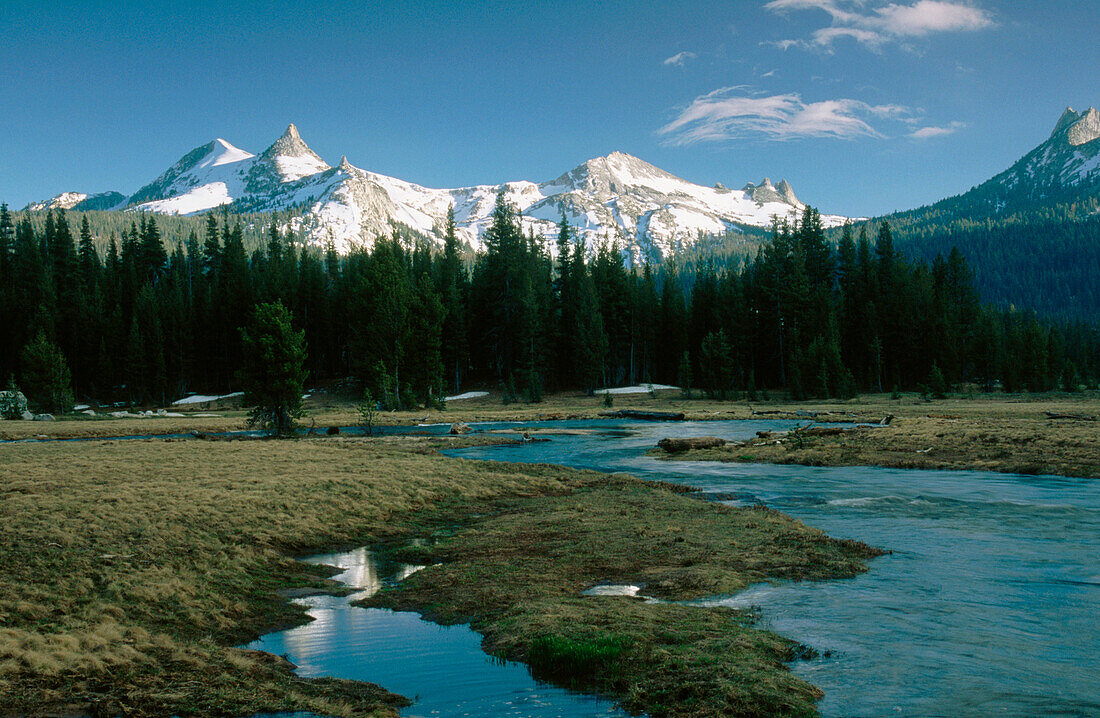 Tuolumne Meadows in Yosemite National Park. California. USA