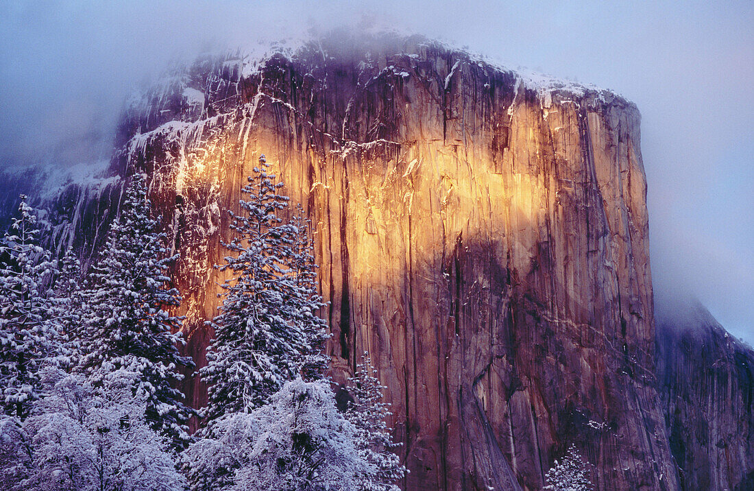 Alpenglow. Yosemite National Park. California. USA