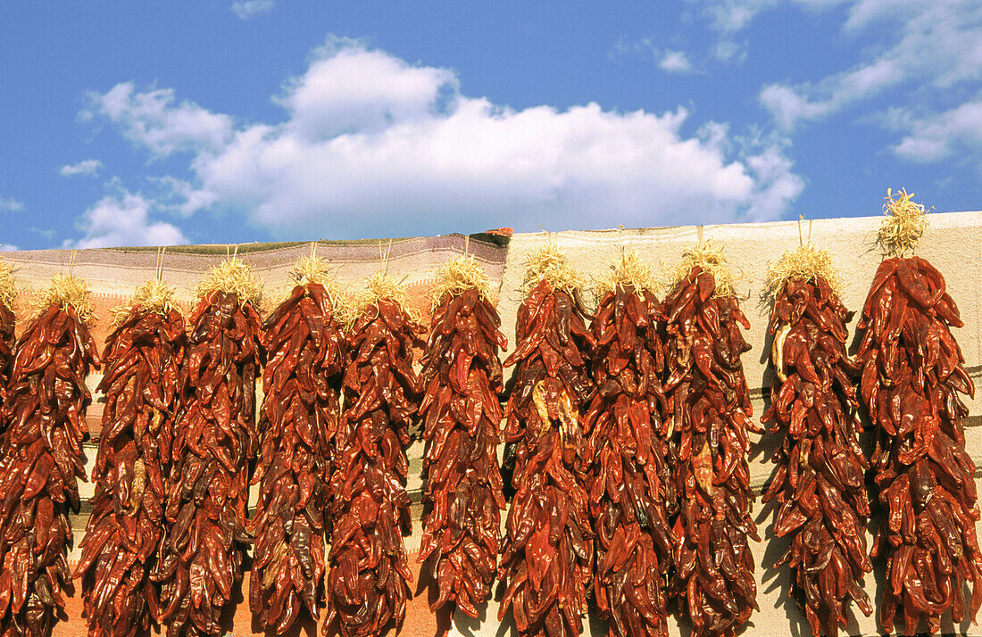 Strings of chilis drying up in a wall. Taos. New Mexico. USA