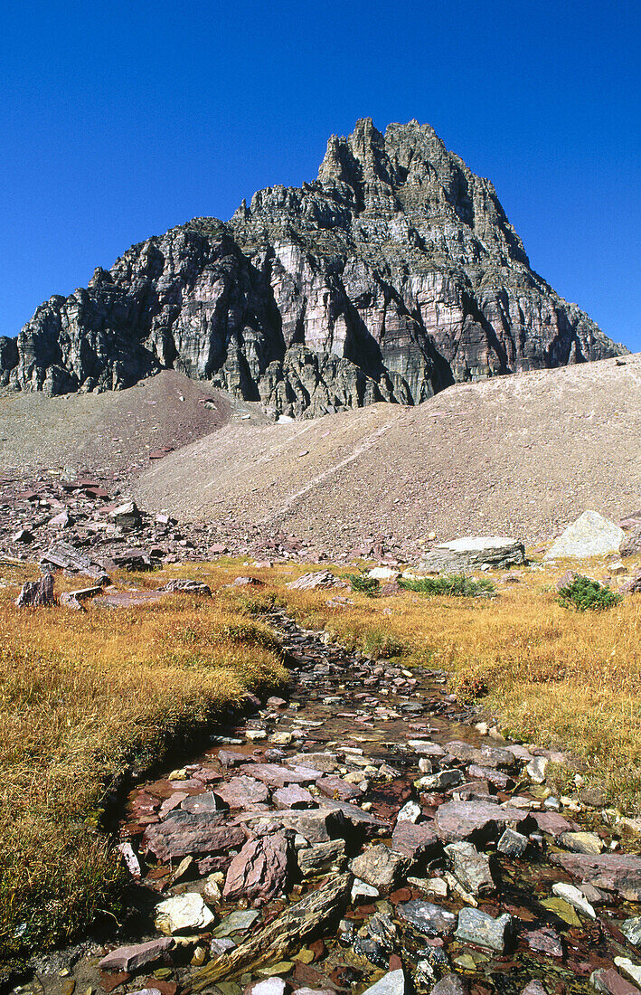 Logan Pass and Mount Clements. Glacier National Park. Montana. USA