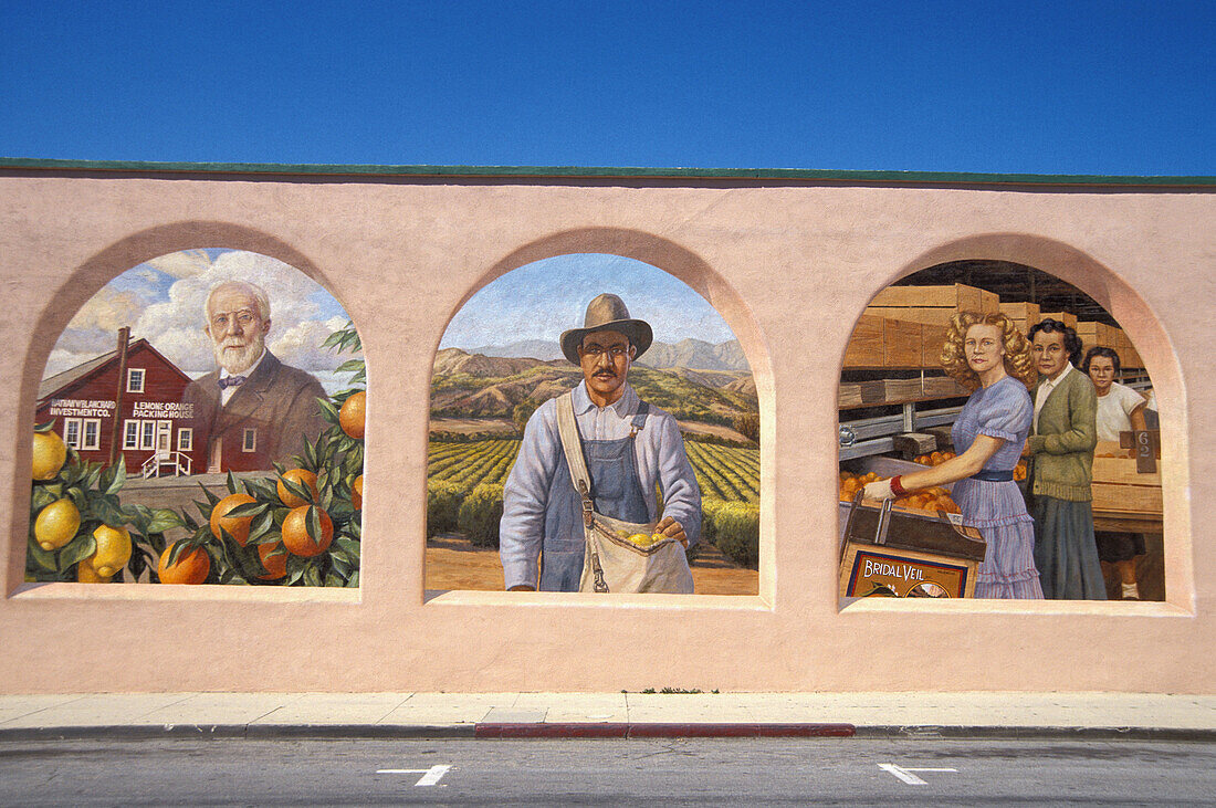 Mural depicting citrus farm production titled Citrus capitol of the world by Don Gray. Santa Paula. California. USA